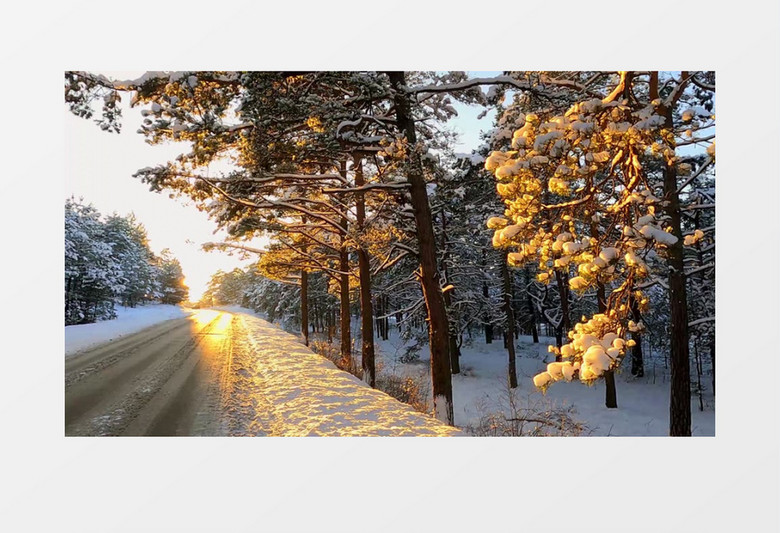 清晨的阳光照射在雪后的地面上实拍视频素材