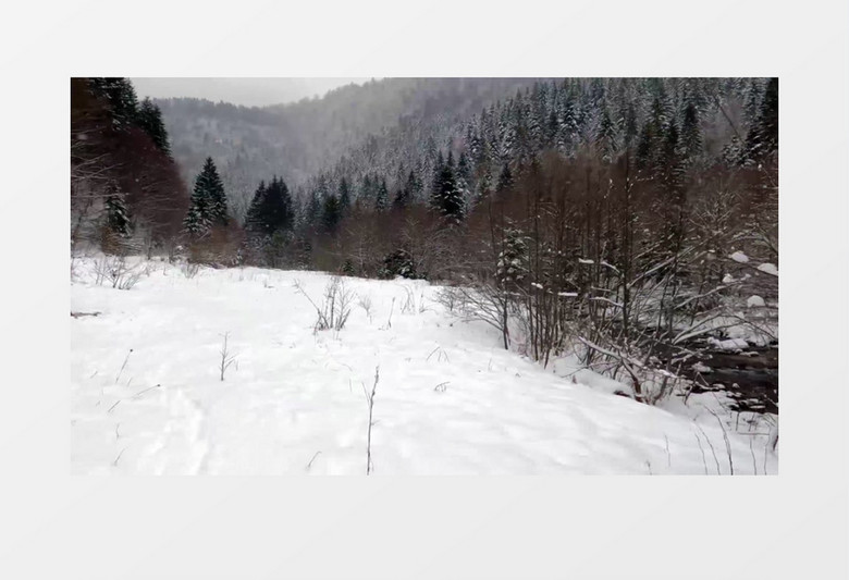 冬季山林被大雪覆盖实拍视频素材