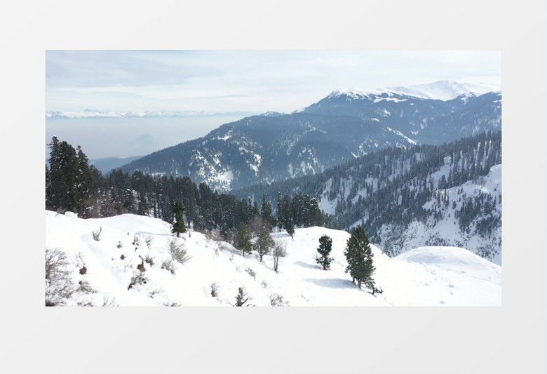 冬季白皑皑的雪山和丛林实拍视频素材