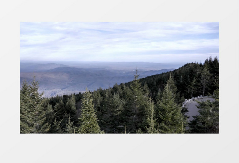 实拍森林植被和远山景象实拍视频素材