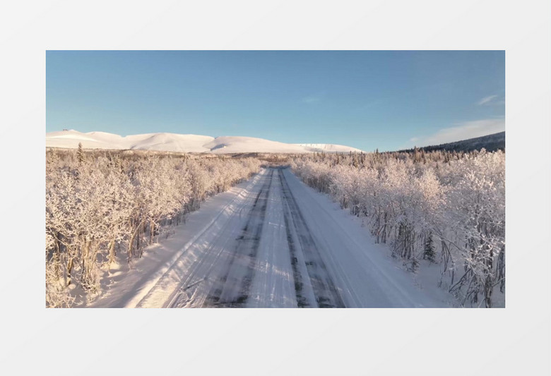 冬季被雪覆盖的森林和道路景象实拍视频素材