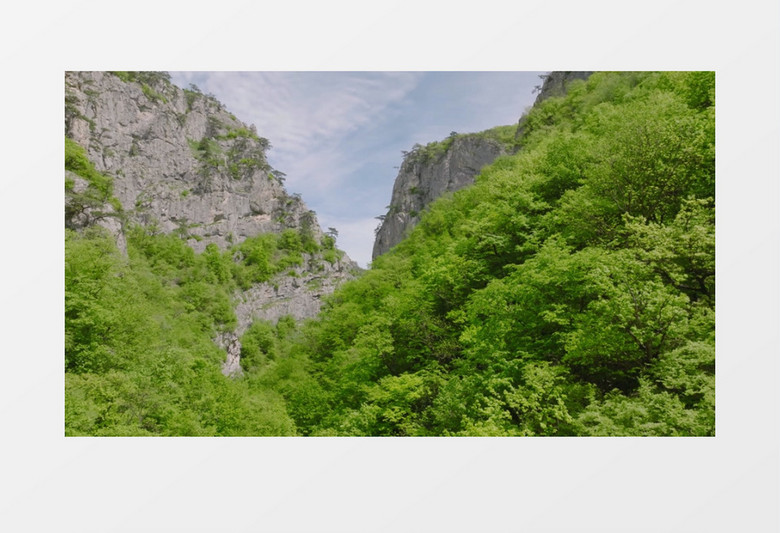 实拍巍峨的高山和茂密的植被实拍视频素材
