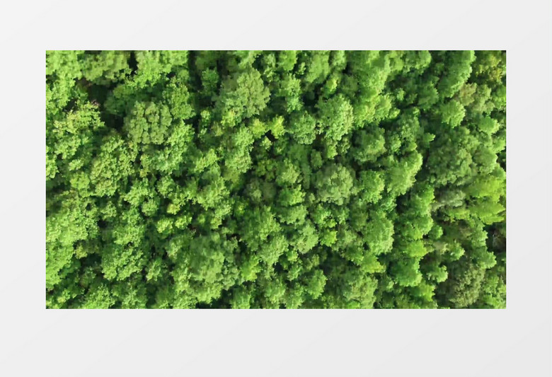航拍茂密的山林实拍视频素材