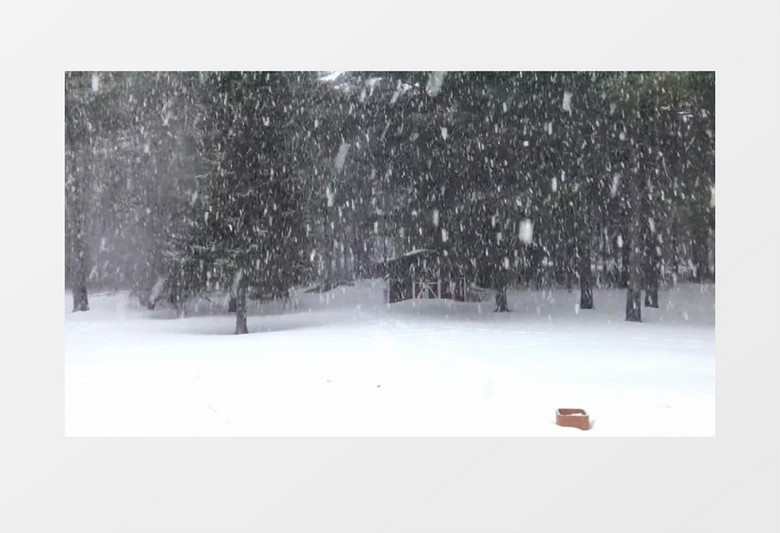 鹅毛大雪不断落到地面实拍视频素材