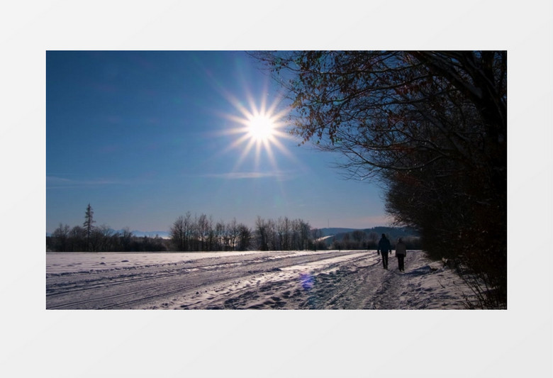 冬日的暖阳照耀在被冰雪覆盖的大地上实拍视频素材