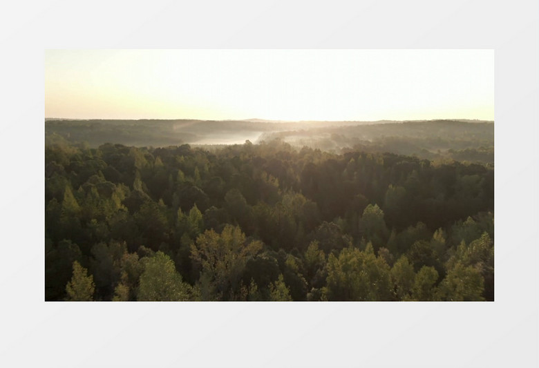 航拍清晨阳光照耀的森林实拍视频素材