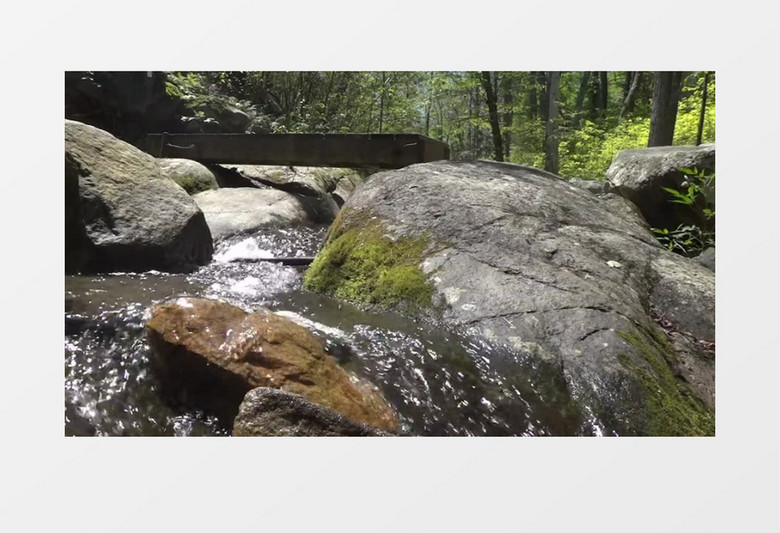 近距离高清拍摄林间山涧潺潺流水青山绿水实拍视频素材