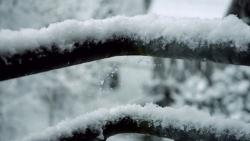 寒冷冬天下雪白雪皑皑某实拍视频素材