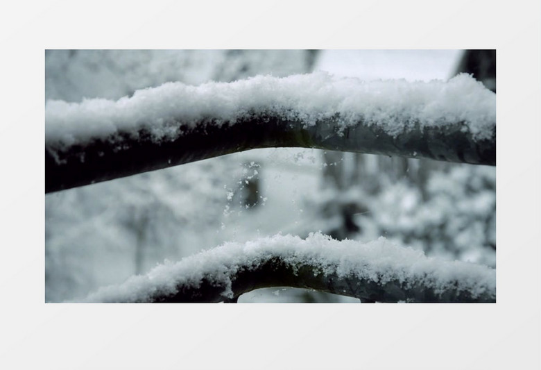 寒冷冬天下雪白雪皑皑某实拍视频素材