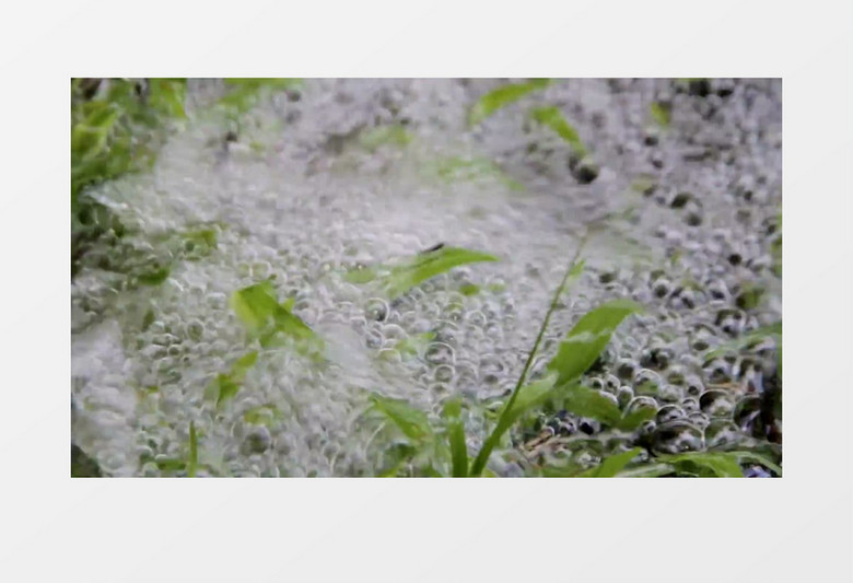 激流的小河中涌动的水泡实拍视频素材