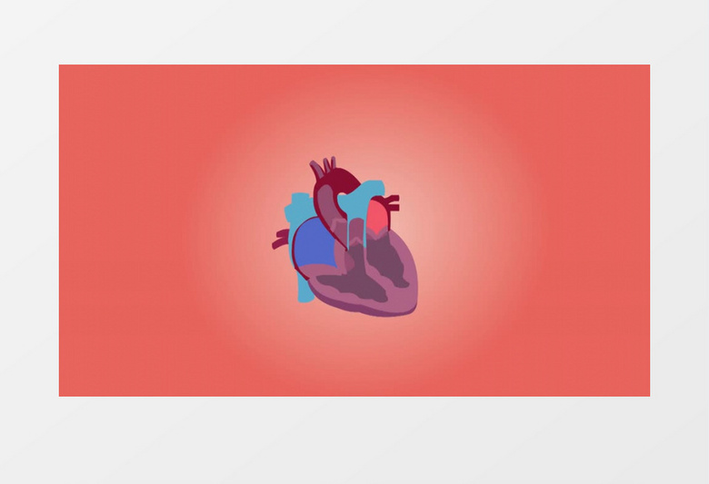 动画模拟医学素材医学人体结构图心脏结构图视频素材