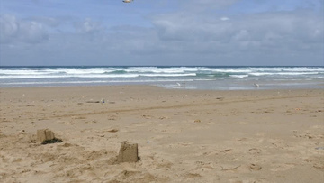 近距离拍摄夏天白天海边度假沙滩海鸥飞翔实拍视频素材