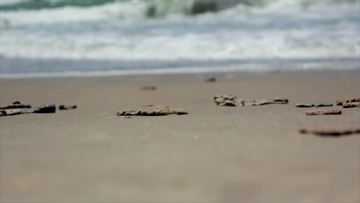 近距离拍摄高清海边沙滩海岸线实拍视频素材