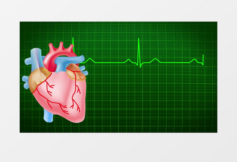 3D动画模拟演示人体心脏跳动心电图视频素材