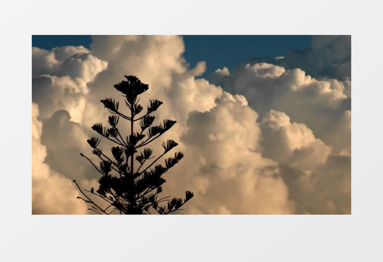 远景拍摄一棵树后的上空云朵翻涌风云涌动的壮观景象实拍视频素材