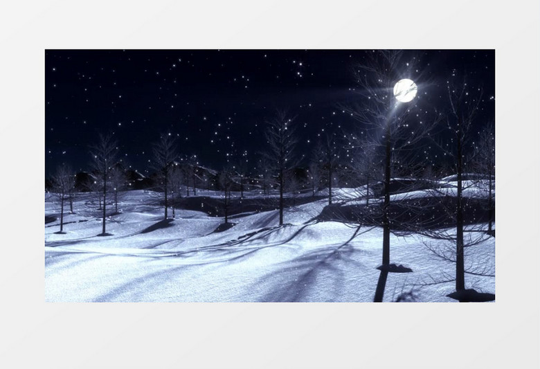 高清一轮明月下缓缓飘洒的雪花明媚的夜色雪景视频素材
