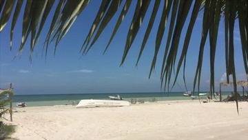 高清拍摄夏天加勒比海海边海滩沙滩度假村异国情调