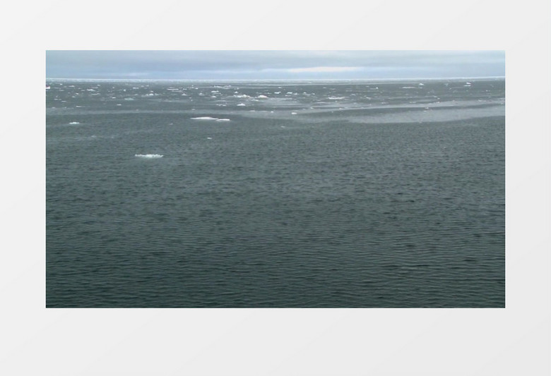 高清实拍海洋中漂浮的冰块实拍视频素材