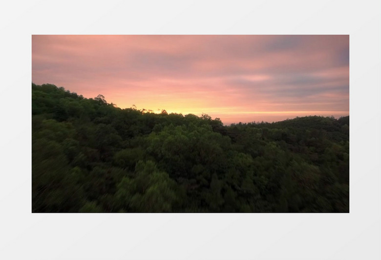 森林景观日出日落美景实拍视频素材