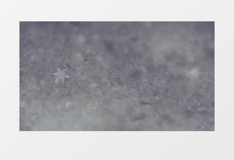 超高清动画制作雪花洒落地面时的状态视频素材