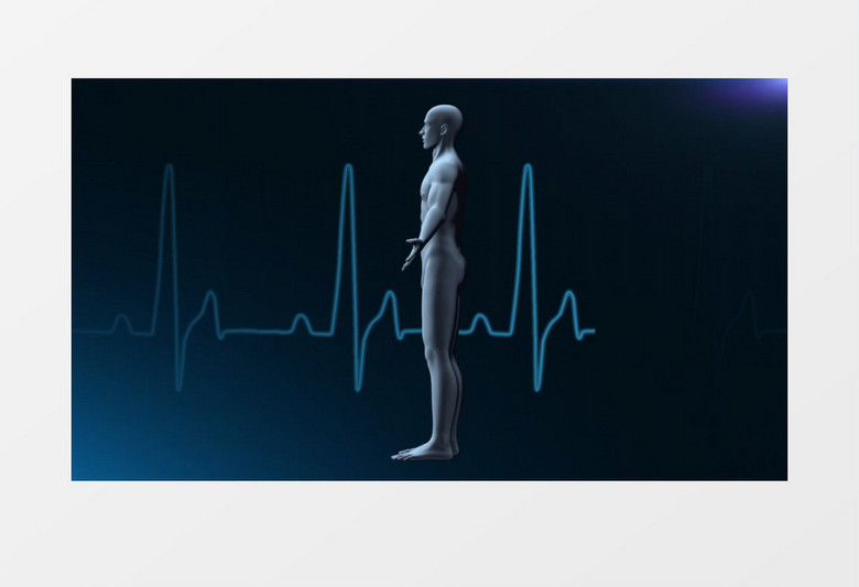 人体模型心跳曲线图视频素材