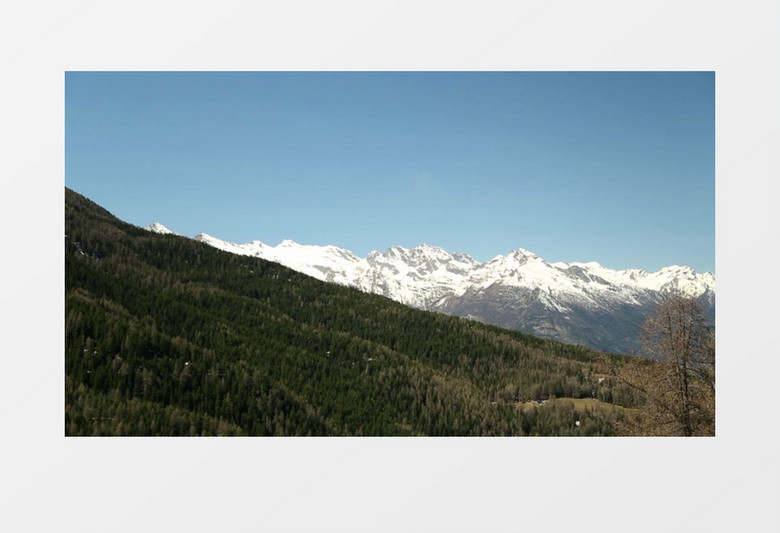 阿尔卑斯山雪森林实拍视频素材