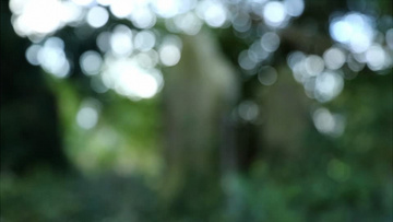 800x450a80a121