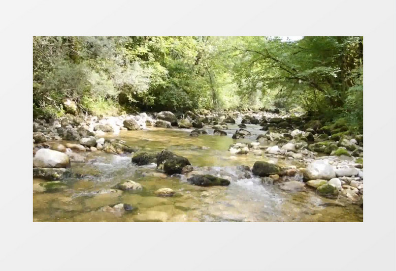 野外安静山间清澈小溪流水实拍视频素材