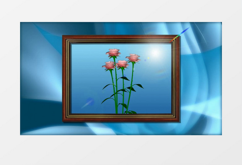 蓝色相框中美丽的玫瑰花视频素材