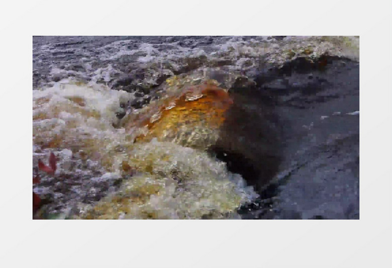 户外小溪河流瀑布湍急的河流实拍视频素材
