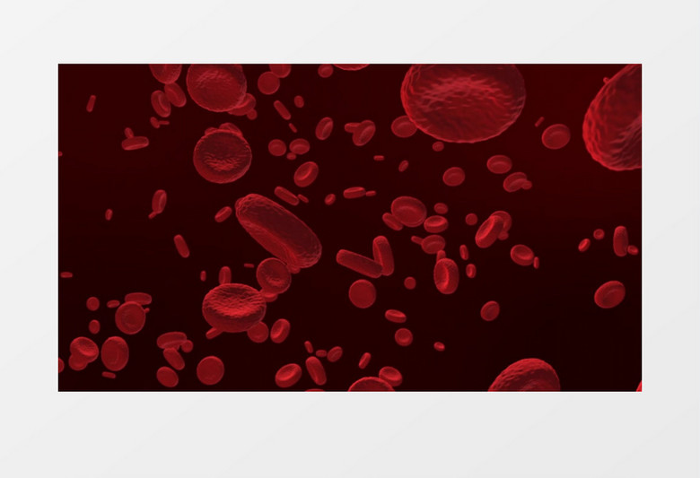 动画图展示人类动脉出血视频素材