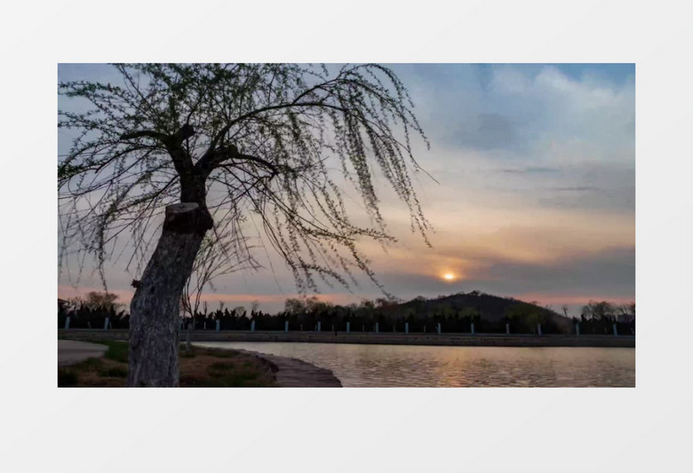 夕阳下湖边柳树实拍视频素材