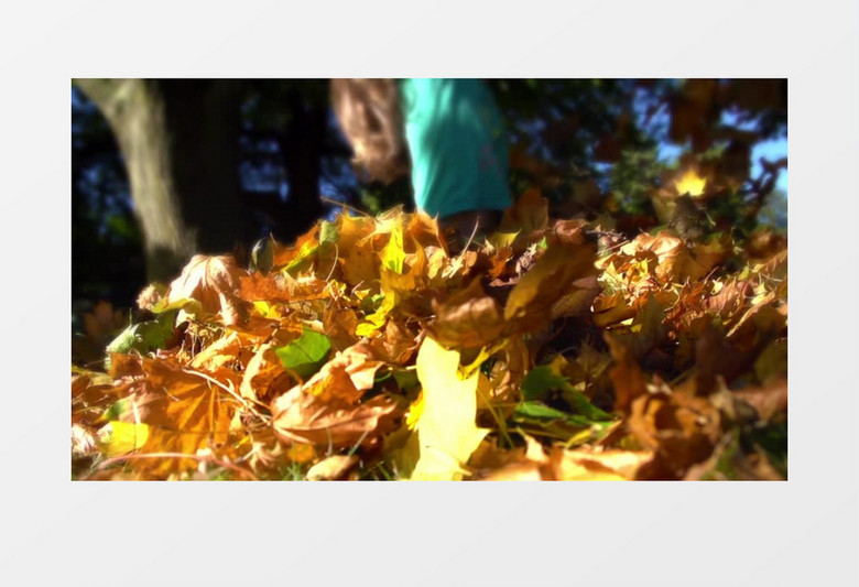 户外秋天儿童玩落叶实拍视频素材