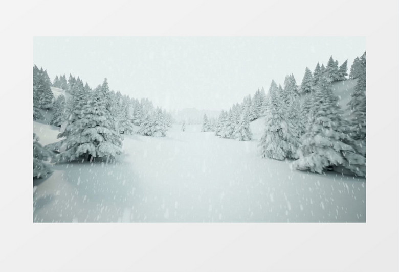 下雪的晶莹透白圣诞树森林