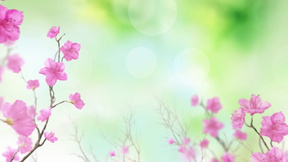 800x450a80a121