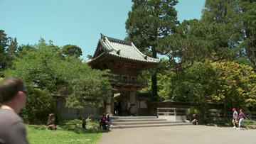 旅游古建筑植物寺庙实拍视频素材