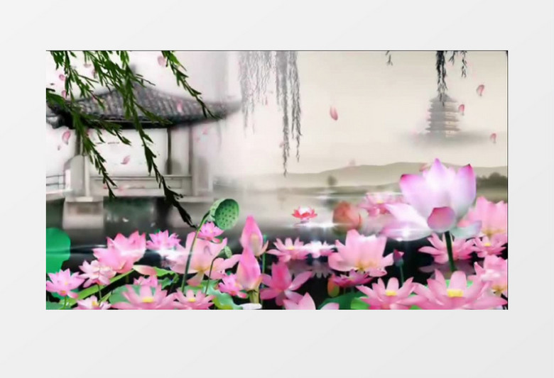 中国风典雅荷花流水视频素材