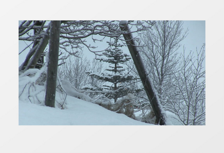 山上雪景实拍视频mov