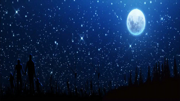 星空视频下载最新版 800x450a80a121