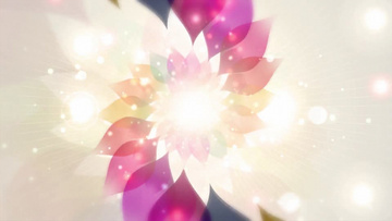 八菱花唯美色背景动态视频