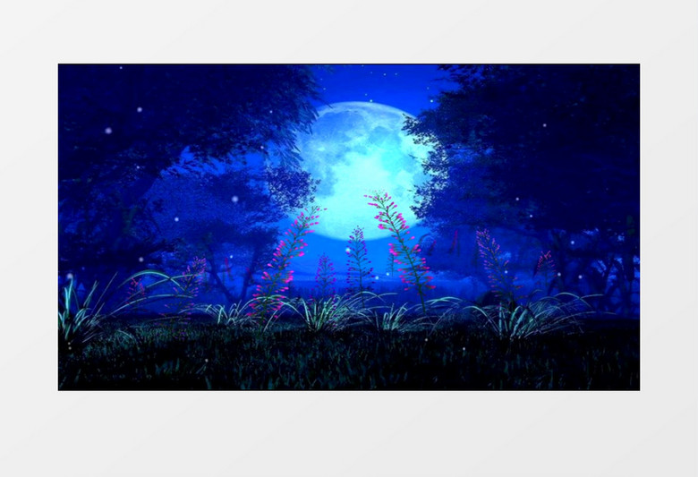 蓝色月亮光影树影花开背景视频