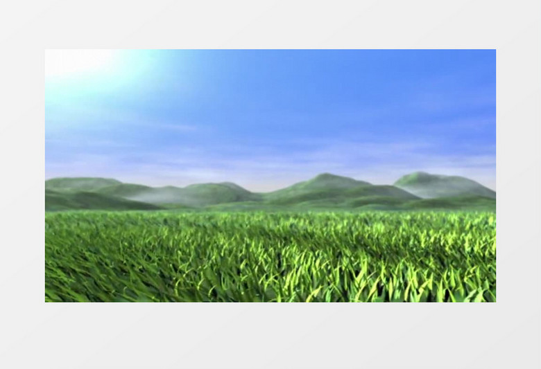 绿色麦浪背景视频素材