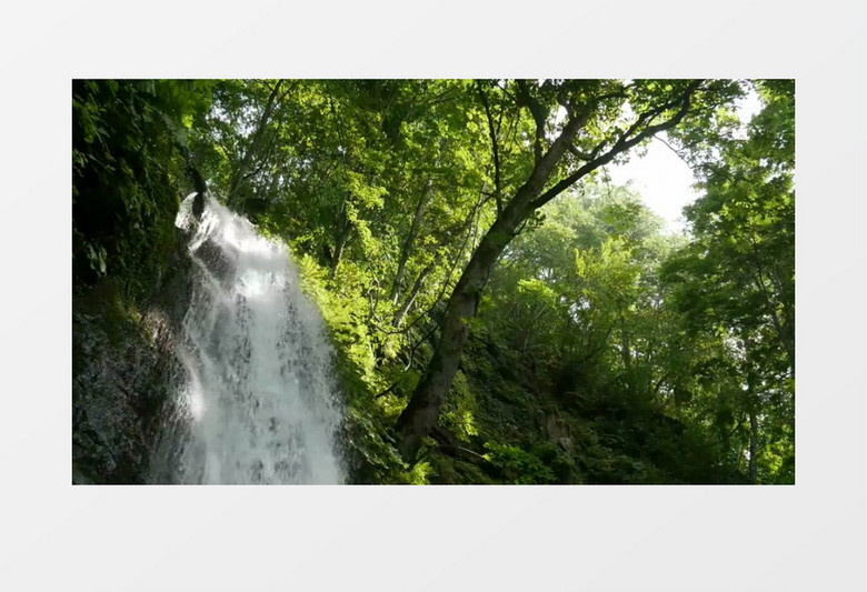 森林树林河流瀑布背景视频素材