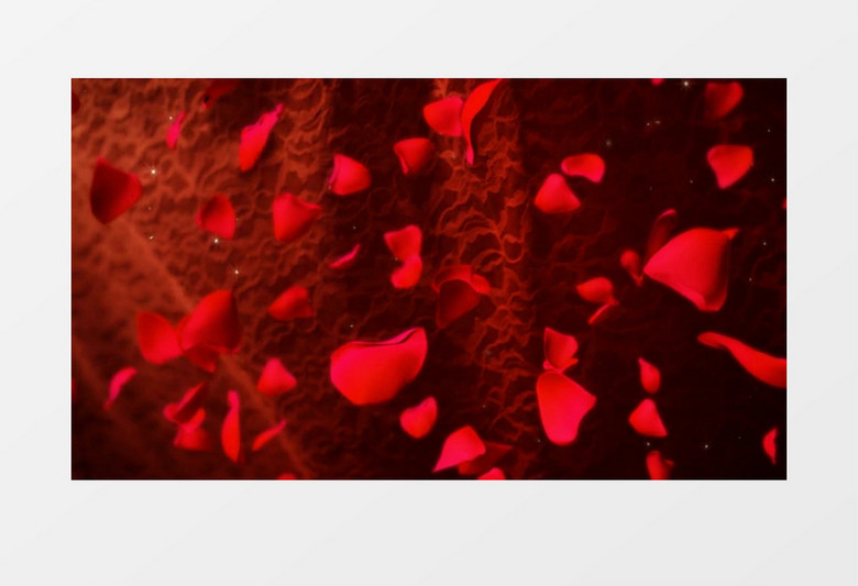动画动态玫瑰花瓣飘落背景视频素材