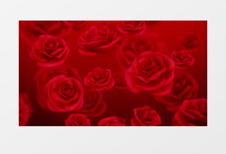 动画动态浪漫红玫瑰飘落背景视频素材