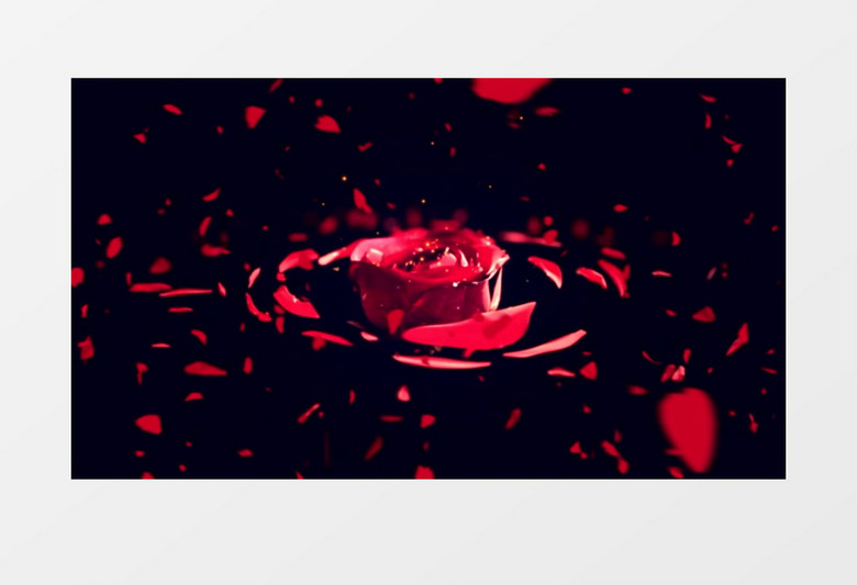 旋转3D玫瑰花背景视频 
