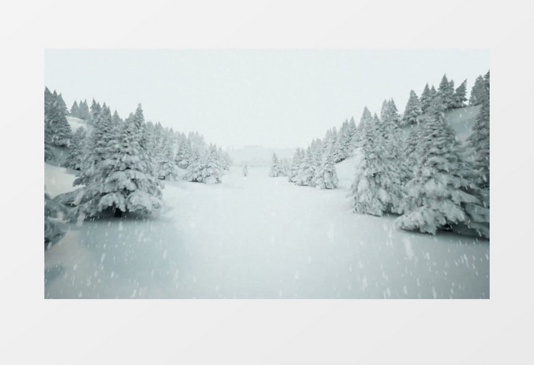 下雪圣诞树森林背景视频