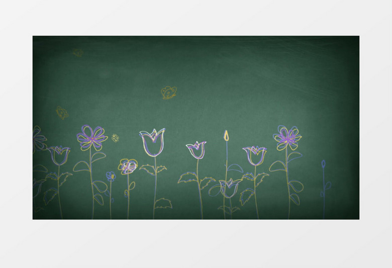 唯美清新黑板背景花朵生长视频素材