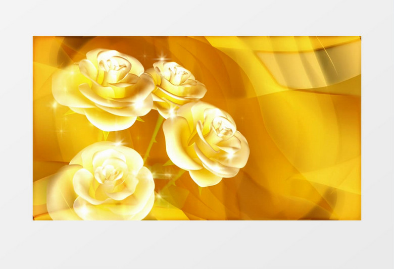 旋转的金色玫瑰花视频素材