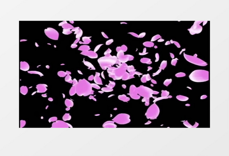 粉红花瓣飘落浪漫背景视频素材